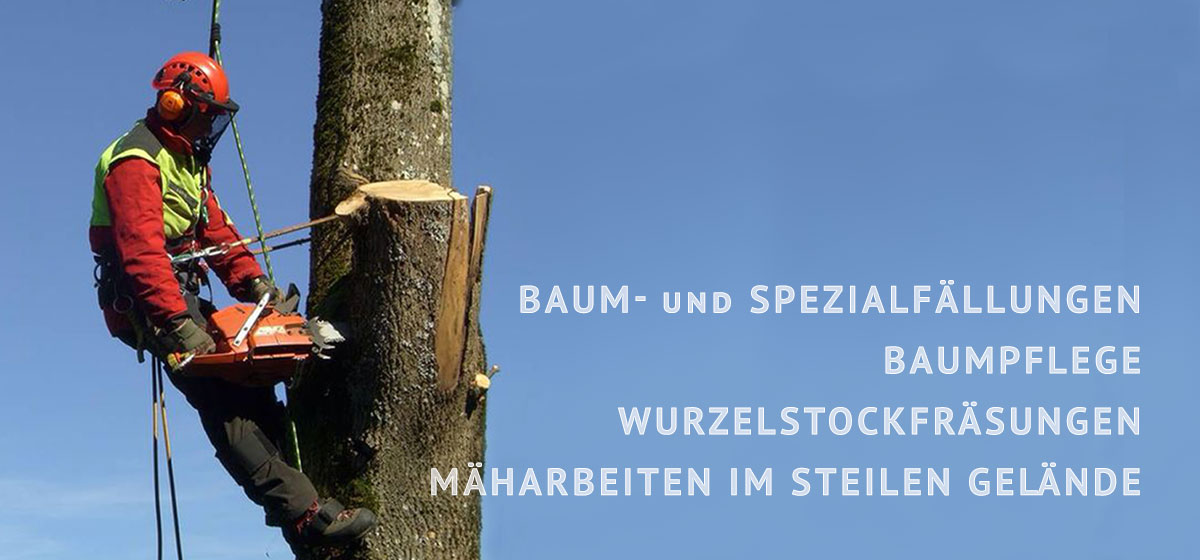 Spezial Baumfällungen Matthias Martin
