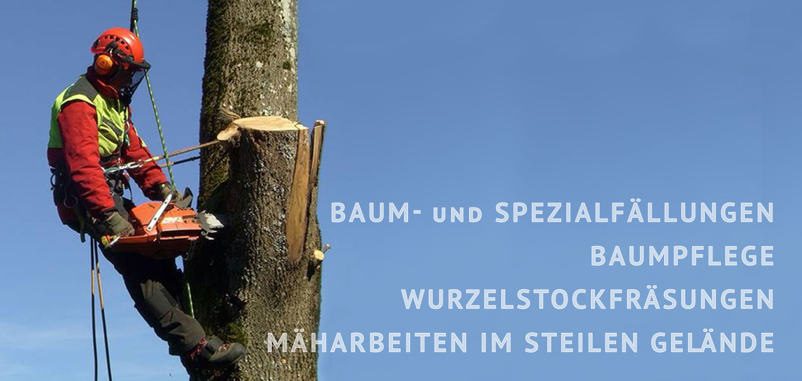 Spezial Baumfällungen Matthias Martin